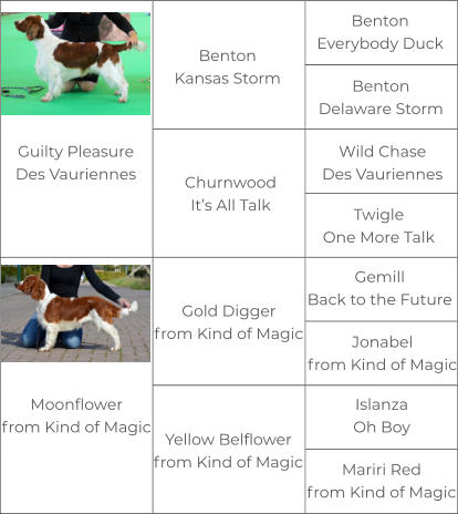 Guilty PleasureDes Vauriennes BentonKansas Storm ChurnwoodIt’s All Talk Gold Diggerfrom Kind of Magic Yellow Belflowerfrom Kind of Magic BentonEverybody Duck BentonDelaware Storm Wild ChaseDes Vauriennes TwigleOne More Talk GemillBack to the Future Jonabel from Kind of Magic Islanza Oh Boy Mariri Redfrom Kind of Magic Moonflowerfrom Kind of Magic