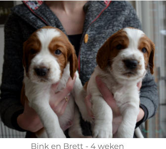 Bink en Brett - 4 weken