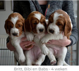 Britt, Bibi en Babs - 4 weken
