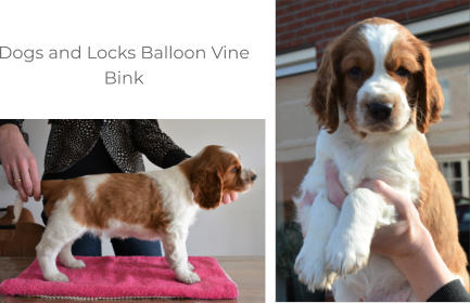 Dogs and Locks Balloon Vine Bink