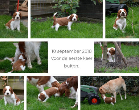 10 september 2018 Voor de eerste keer  buiten.